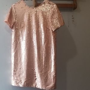 Sequence t-shirt short blush dress